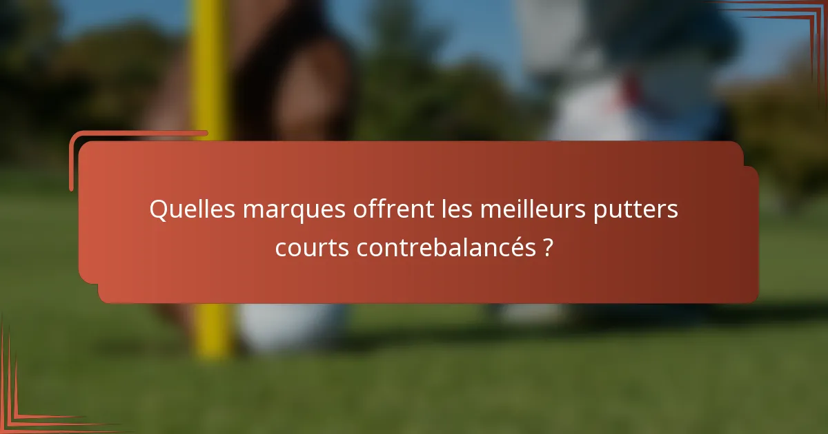 Quelles marques offrent les meilleurs putters courts contrebalancés ?