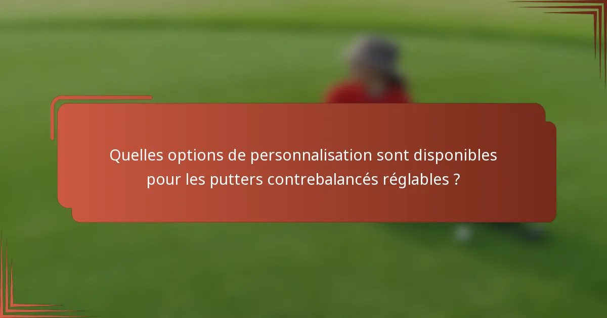 Quelles options de personnalisation sont disponibles pour les putters contrebalancés réglables ?
