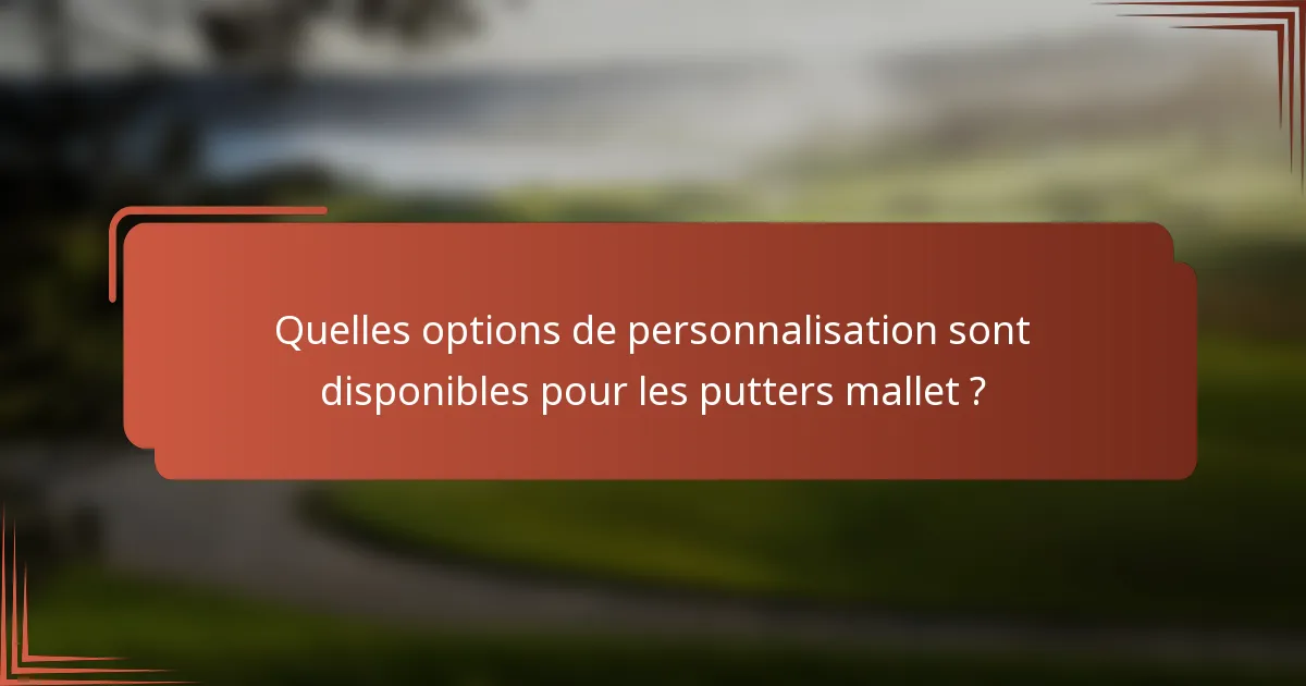 Quelles options de personnalisation sont disponibles pour les putters mallet ?