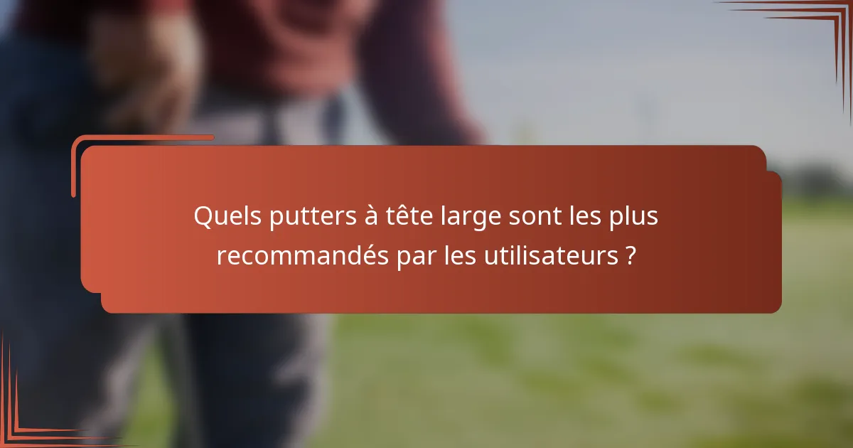 Quels putters à tête large sont les plus recommandés par les utilisateurs ?