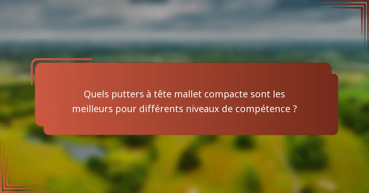 Quels putters à tête mallet compacte sont les meilleurs pour différents niveaux de compétence ?