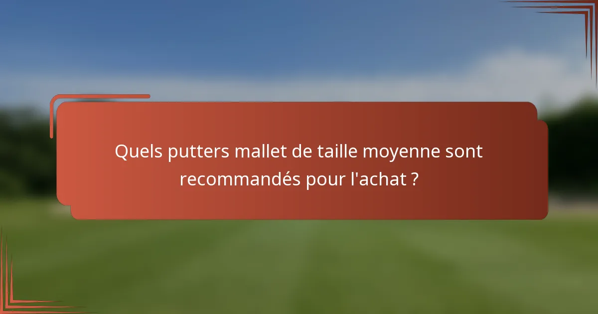 Quels putters mallet de taille moyenne sont recommandés pour l'achat ?
