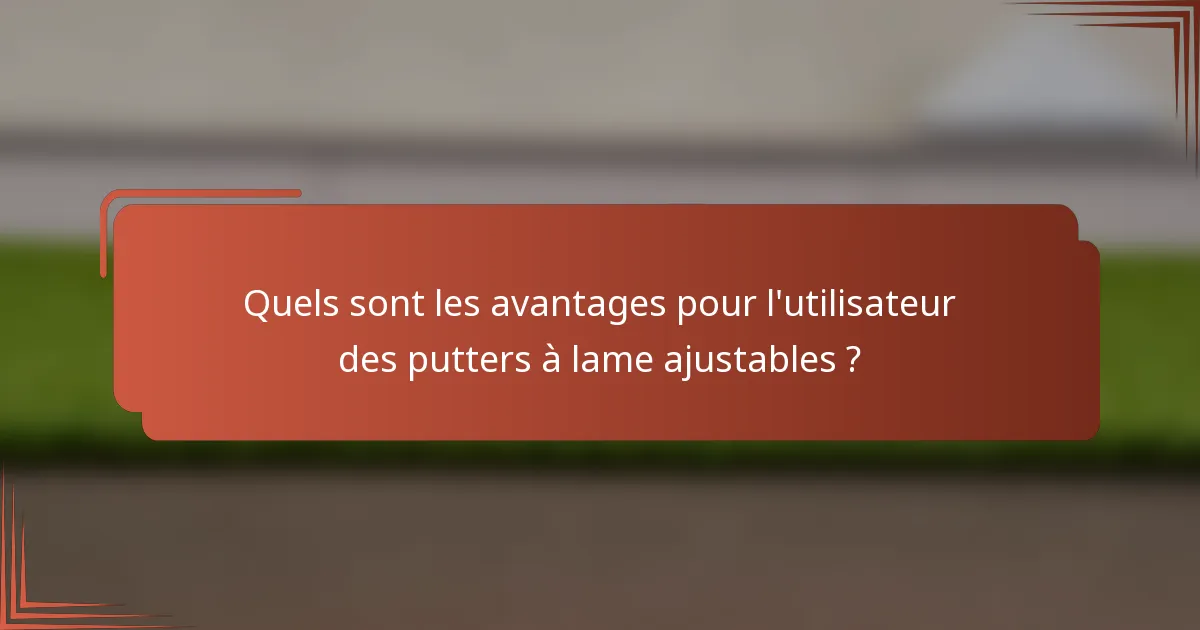 Quels sont les avantages pour l'utilisateur des putters à lame ajustables ?